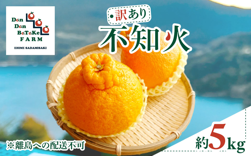 【訳あり】不知火 約5kg IKTAU016