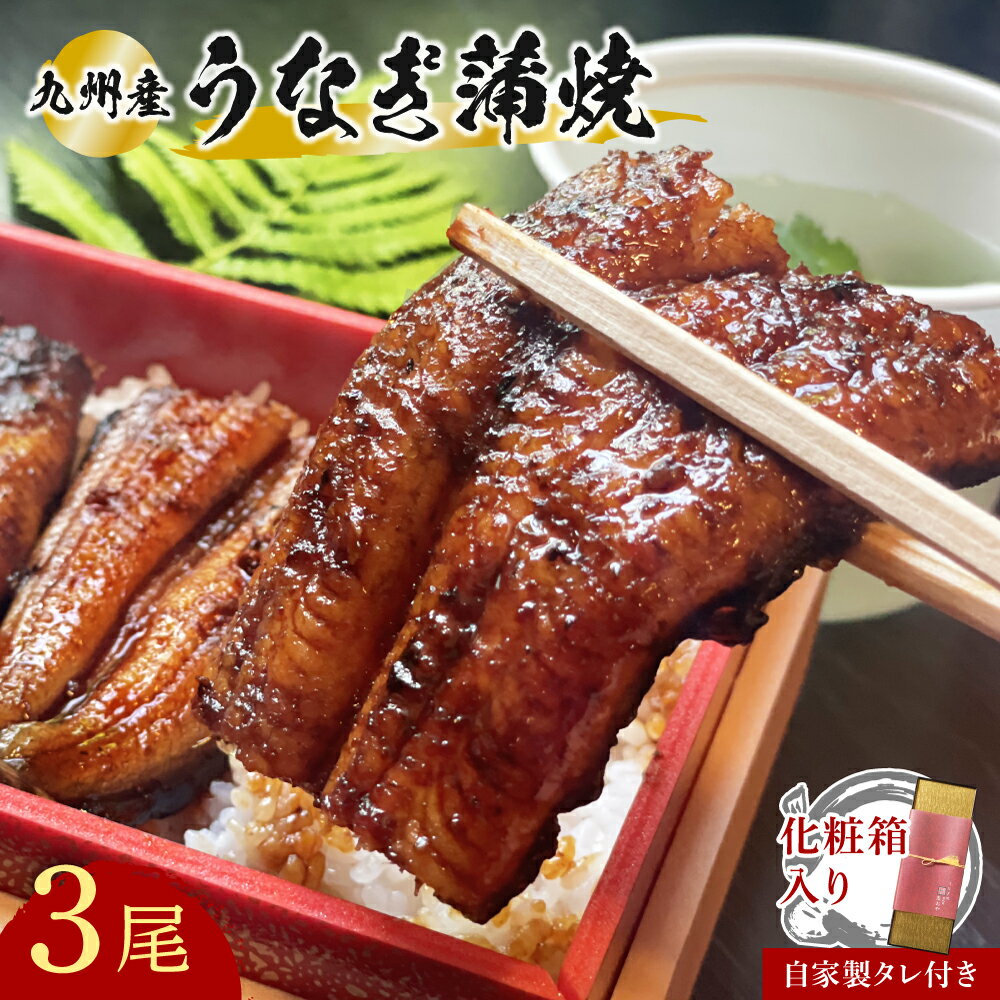 【ふるさと納税】【スピード発送】 うなぎ 志おや 九州産 鰻 蒲焼 3本 タレ 付 鰻 ウナギ 国産 蒲焼き かばやき 送料無料 ふるさと納税