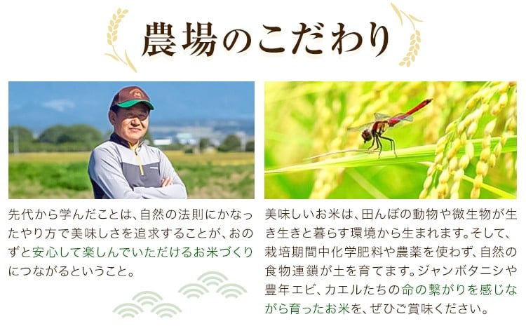 七城物語 有機赤米  玄米 合計900g(180g×5パック) 赤米