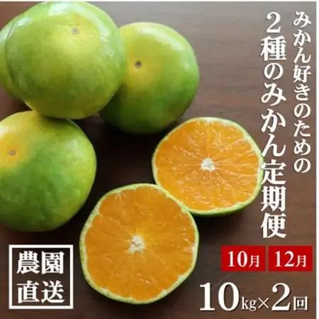【発送月固定定期便】みかん好きに食べてほしい　2種のみかん定期便　各10kg【贈答用・秀品】全2回【4054114】