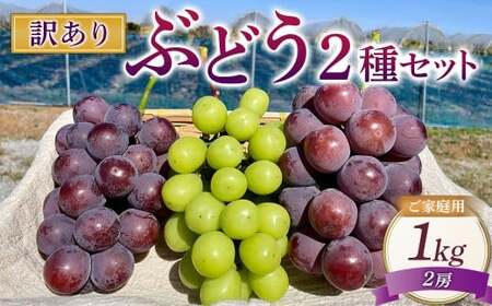 訳ありぶどう2種セット 約1kg 2房【2026年10月上旬から発送予定】 ／ マスカット ピオーネ 葡萄 ブドウ 種無し 種なし
