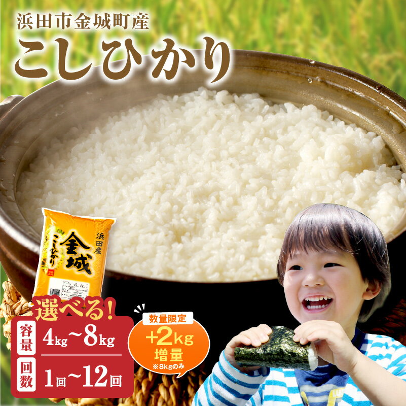 【ふるさと納税】【生活応援品】【年内配送】【令和7年産】【数量限定】【定期便】浜田市金城町産「こしひかり」【4kg～10kg/1回～12回】 選べる 定期便 こしひかり お取り寄せ 特産 お米 精米 白米 ごはん ご飯 コメ 新生活 応援 準備
