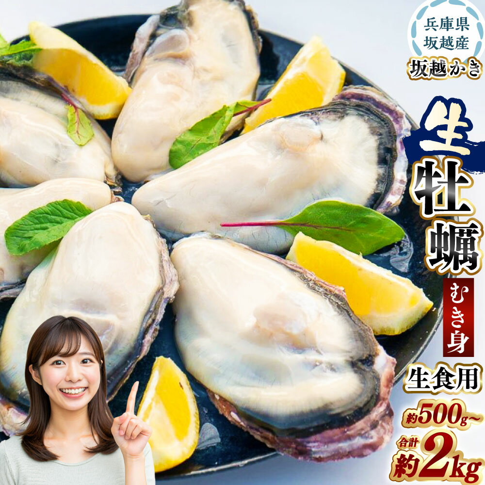 【ふるさと納税】＜選べる容量＞ 坂越かき むき身 約500g ・ 約1kg ・ 約1.5kg ・ 約2kg ／ 牡蠣 かき カキ オイスター サムライオイスター 生牡蠣 生かき 生カキ 生ガキ 生がき 魚介 貝 海産物 生食 パック 坂越湾 兵庫県 赤穂市 冷蔵 送料無料