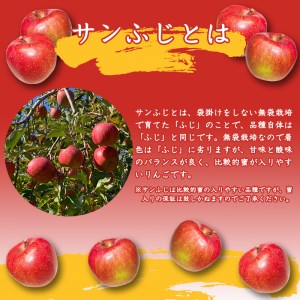 こだわり農家の 有機質肥料栽培 りんご 3kg 秀品 「サンふじ」（7～9玉） 【2024年11月頃より順次発送予定】 ／ お取り寄せ ご当地 特産 産地直送 果物 フルーツ 新鮮 季節 林檎 デザー