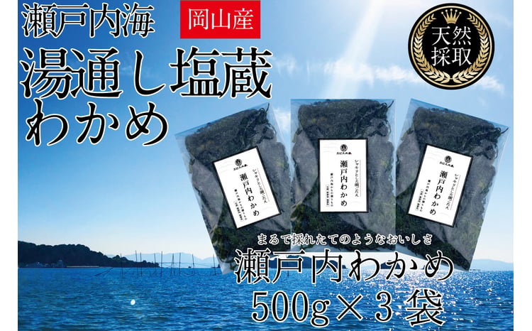 湯通し塩蔵 瀬戸内 わかめ 500g×3袋【岡山 瀬戸内海 天然 塩蔵】
