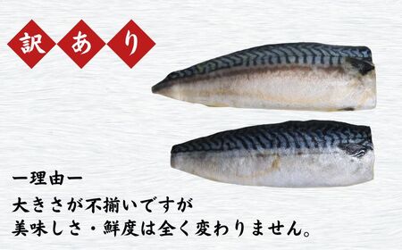 訳あり 塩鯖フィレ 3.5kg  塩鯖 塩さば 塩サバ 塩さばフィレ 塩サバフィレ 切り身 切身 冷凍 長期保存 お取り寄せ グルメ 大容量 ギフト 贈物 千葉県 銚子市 荒野商店 訳あり 冷凍ｻﾊﾞ