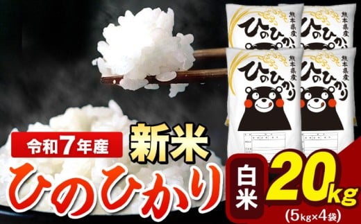 新米 令和7年産  ひのひかり 白米 20kg 《7-14日以内に出荷予定(土日祝除く)》 5kg×4袋 熊本県産（荒尾市産含む） 米 精米 ひの