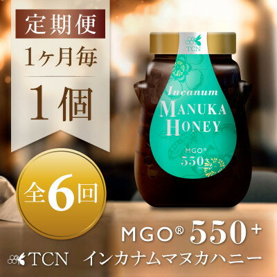 【ふるさと納税】【毎月定期便】インカナム マヌカハニー【MGO550+】500g×1個　全6回【4050100】