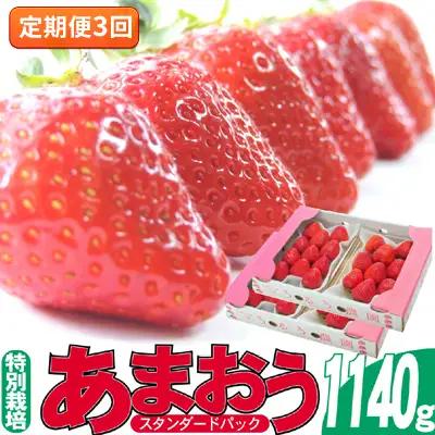 【定期便3回】 いちご 発送時期 2027年2月～4月 いちご スタンダード4パック 約1.14kg 果物類
