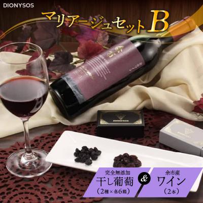 ふるさと納税 余市町 【ギフトボックス】余市産完全無添加干し葡萄と余市産セレクトワインのセット 〜B〜_Y050-0026