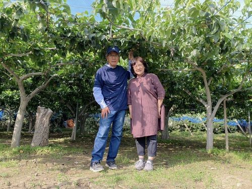 埼玉県宮代町の深井梨園で生産された、みずみずしい豊水梨です。旬の和梨5kgをお届けします。