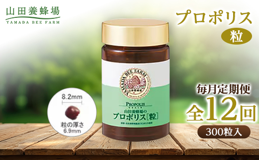 【毎月定期便】プロポリス粒 (486)全12回【4008980】