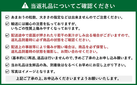 【予約受付・3回定期便】あまおう贅沢セット No2 苺 イチゴ ストロベリー ベリー あまおうDX 冷凍あまおう プレミアムあまおうレアチーズケーキ フルーツ くだもの 果物 デザート スイーツ【20