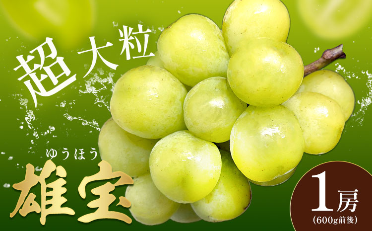 ぶどう 雄宝 1房 大粒 種なし 皮ごと フルーツ 果物 ギフト 国産 季節限定 茨城県 結城市 《8月下旬-9月下旬頃出荷予定》 會澤ぶどう・キウイフルーツ園 【配送不可地域あり】(離島)