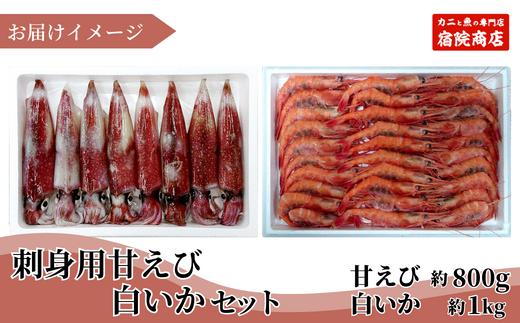 33-05　白いか 甘えび お刺身用セット 白いか（剣先いか）4～8杯（1kg～）甘えび約800g(30～40尾)　冷凍  発送時期：6月下旬から9月にかけて発送予定