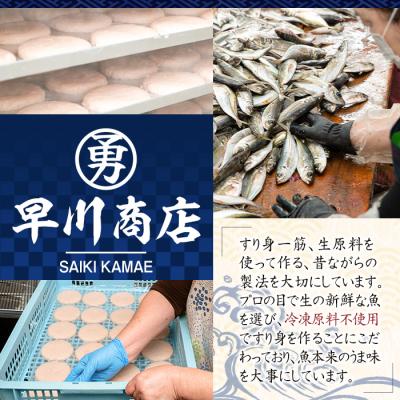 ふるさと納税 佐伯市 早川のすりみ天セット (合計24枚・2種×各12枚) |  | 02