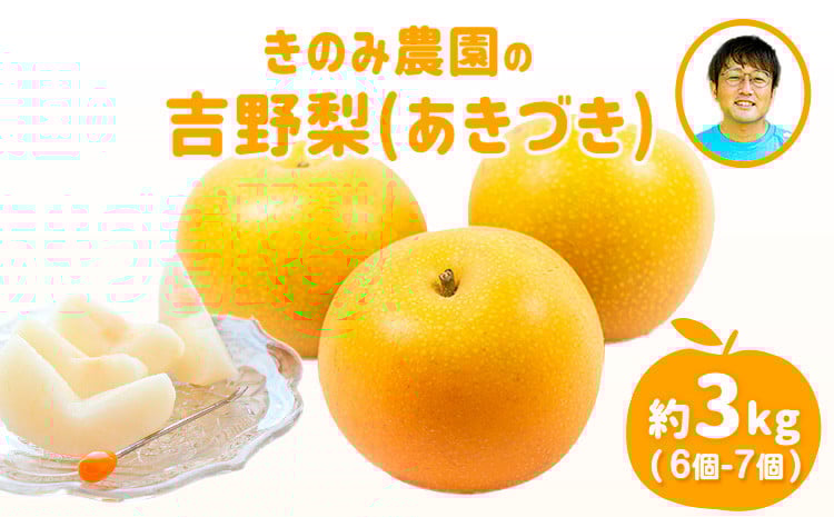 
            きのみ農園の吉野梨(あきづき) 約3kg 熊本県氷川町産 きのみ農園《8月中旬-9月上旬頃出荷》
          