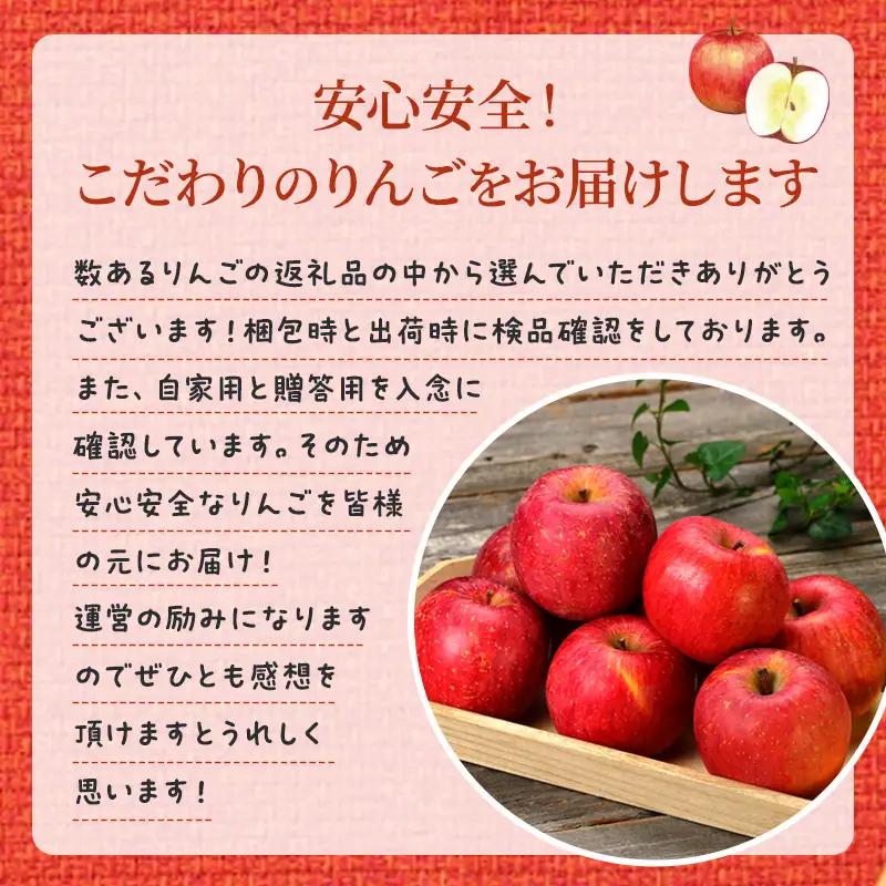 りんご 家庭用 シナノスイート 5kg　信州りんご リンゴ 林檎 果物 くだもの フルーツ 信州 長野