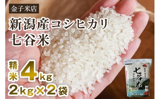 【令和7年産】老舗米穀店が厳選 新潟県加茂市産コシヒカリ「七谷米」精米4kg（2kg×2）〈順次出荷〉 従来品種 白米 窒素ガス充填パックで鮮度長持ち 金子米店