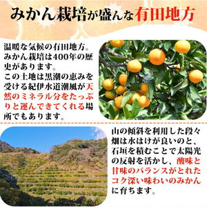  【2026年先行予約】（大玉） 和歌山県産 有田みかん 10kg ひとつひとつ手選別で厳選！生産者から直送_ZN6004n