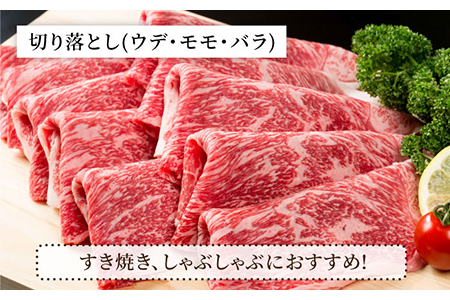 【肉のプロが厳選！】【全6回】佐賀県産和牛 贅沢定期便【株式会社いろは精肉店】 [IAG069]