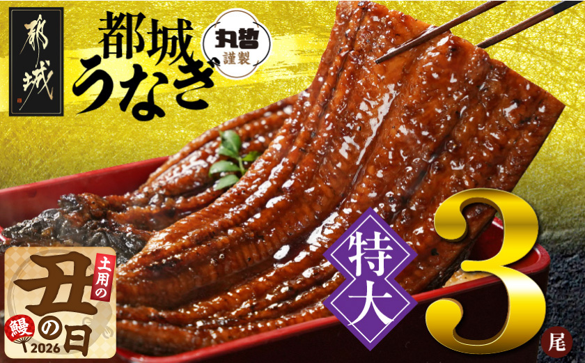 【丑の日】宮崎県育ちの【特大】うなぎ蒲焼3尾680g以上≪山椒・たれ付≫≪7月20日～25日お届け≫_29-M301-UG