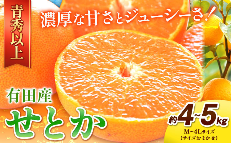 
                  【先行予約】一度は食べていただきたい! 有田産の せとか 青秀以上 約4～5kg （サイズおまかせ） 厳選館 《2027年2月中旬-3月下旬頃出荷》 和歌山県 日高町 せとか 柑橘 有田産
                