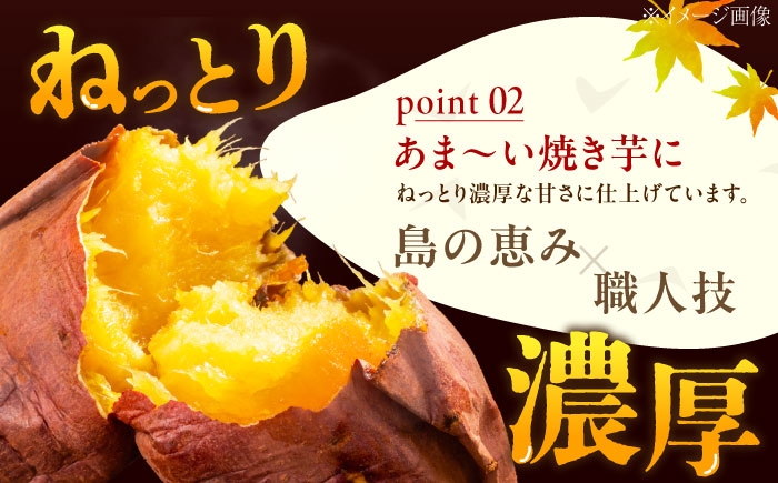 さつまいも 焼き芋 紅はるか 焼芋 やきいも ヤキイモ サツマイモ ベニハルカ