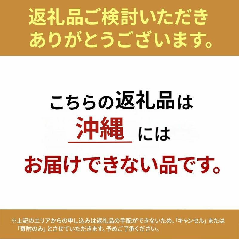 イカ 青森県産 一本釣りいか 使用 鰺ヶ沢 名物 天日生干しイカ セット （900g以上4枚～6枚入り） いか 干物 干物セット 国産 するめ スルメ スルメイカ 海鮮 魚介類 魚介 海産物 ※ ご入