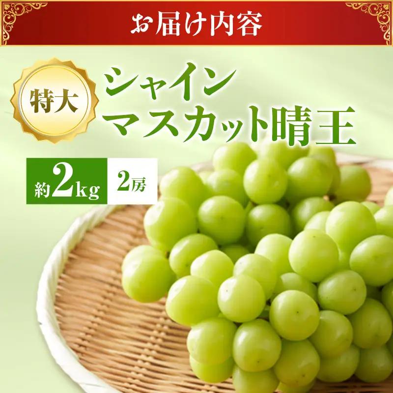 【2026年先行受付】 シャインマスカット 晴王 秀品 特大 約2kg 2房  岡山県産 シャインマスカット