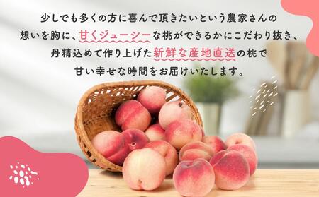 【産直・人気の特産品】和歌山の桃　約4kg・秀選品★2024年度発送★