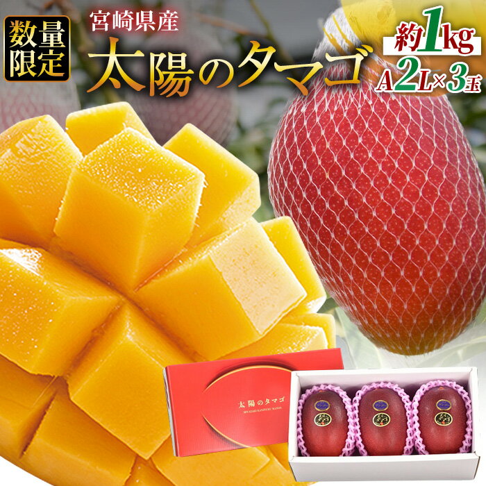 【ふるさと納税】数量限定【2026年発送】＜宮崎県産 太陽のタマゴ A等級 2Lサイズ×3玉（合計約1kg）＞※入金確認後、2026年4月上旬～6月末迄に順次出荷に順次出荷 果物 青果 フルーツ 完熟 マンゴー 贈答 JAみやざき 宮崎県 国富町 【冷蔵】