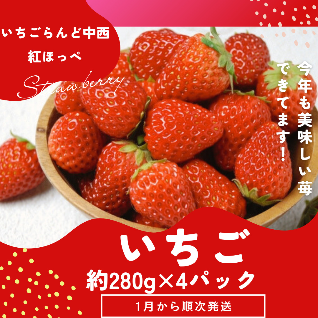 （冷蔵） 朝採り完熟いちご 紅ほっぺ 1120g(280g×4パック)農家直送 静岡県産 1268