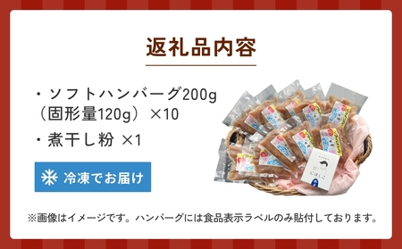ソフトハンバーグと煮干し粉のセット 富山県 氷見市 煮干 惣菜 調味料