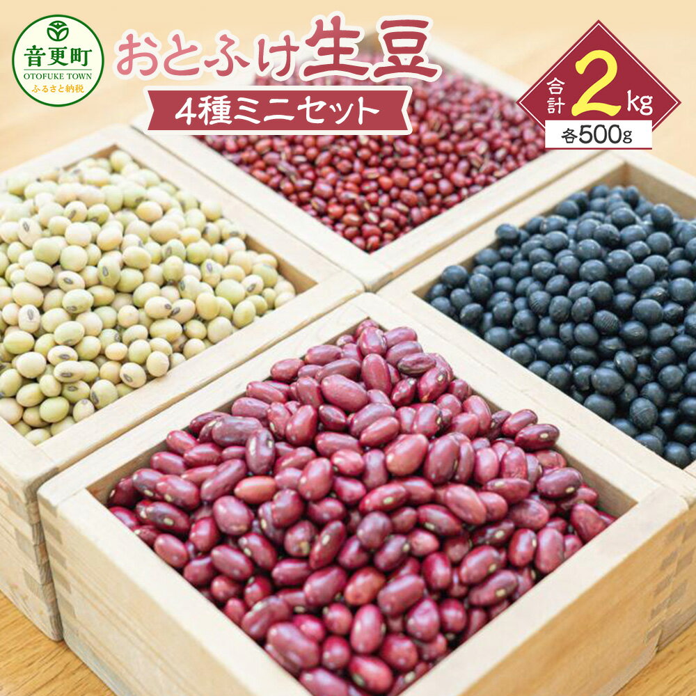 【ふるさと納税】【令和6年産】 「JAおとふけ」 おとふけ生豆ミニセット 500g×4種類 合計2kg 大豆 小豆 黒豆 金時豆 音更大袖振大豆 だいず あずき くろまめ きんときまめ 生豆 セット 詰め合わせ 十勝 常温 国産 北海道 音更町 送料無料