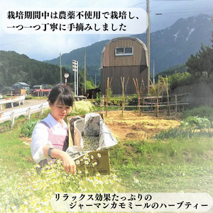 カモミールティー６パック×2袋 栽培期間中は農薬不使用で栽培 新潟県 糸魚川