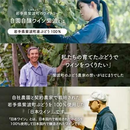 自園自醸ワイン紫波 甘口ワイン紅白2本セット【1688292】
