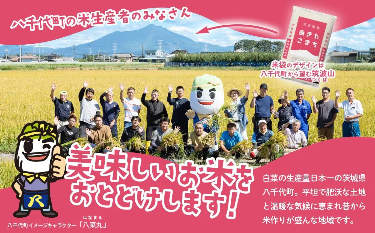 【精米】令和7年産 あきたこまち 5kg スピード発送 精米 白米 ブランド米