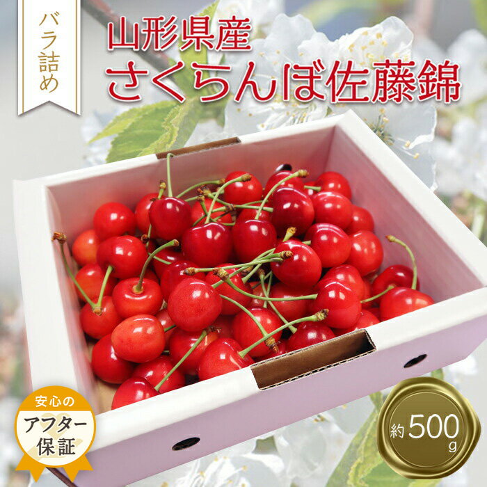 【ふるさと納税】 佐藤錦 500g 「秀品」 山形 の さくらんぼ (L玉・化粧箱・バラ詰)【2026年 発送 先行受付】 先行予約 ふるさと納税 さくらんぼ ふるさと納税 さくらんぼ 佐藤錦 フルーツ 果物 ふるさと 人気 ランキング 令和8年 2026 H039(R8)