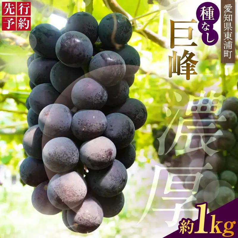 【先行予約】【2026年8月発送】東浦町産 種なし巨峰（約1kg）｜ぶどう フルーツ 