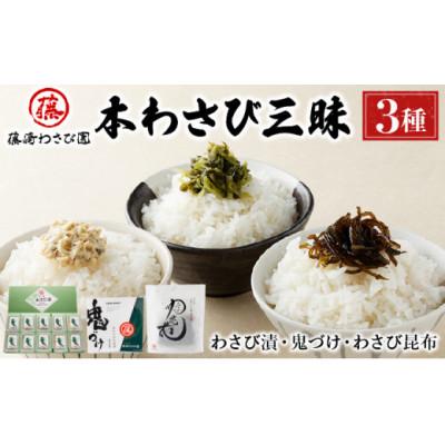ふるさと納税 登別市 藤崎わさび園 本わさび三昧　3種セット