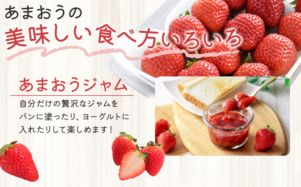 福岡県産 博多あまおう約560g（約280g×2パック入り）  【2025年1月下旬～3月下旬発送予定】