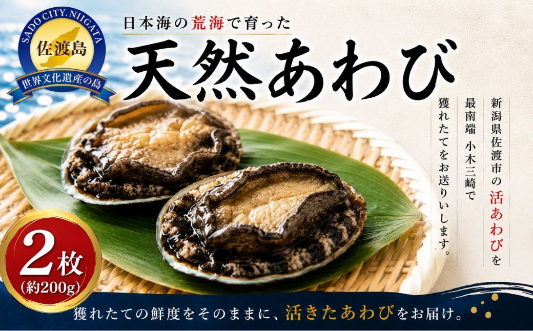 
                  【9月～10月出荷不可】佐渡産 天然活あわび 2枚（計200g見当）日本海 小木産 鮮魚 生 | 新潟県産あわび 佐渡産あわび 佐渡島産あわび 天然あわび 活あわび あわび アワビ 鮑 刺身 お造り 踊り焼き バター焼き 貝 海鮮 魚介 高級 にいがた さど 新潟県 佐渡市
                