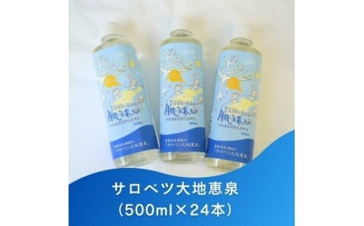 豊富温泉 濃縮温泉水 サロベツ大地恵泉 (500ml×24本)