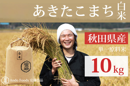 《令和7年産 新米》秋田県産 あきたこまち 10kg(10kg×1袋) 【白米】令和7年産