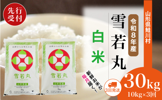 ＜令和8年産米先行受付＞ 令和9年2月中旬より配送開始 雪若丸【白米】30kg定期便 (10kg×3回)　鮭川村