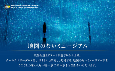 【ヒルズ周遊(麻布台・六本木)ペア体験】チームラボボーダレス/グランド ハイアット 東京 食事券
