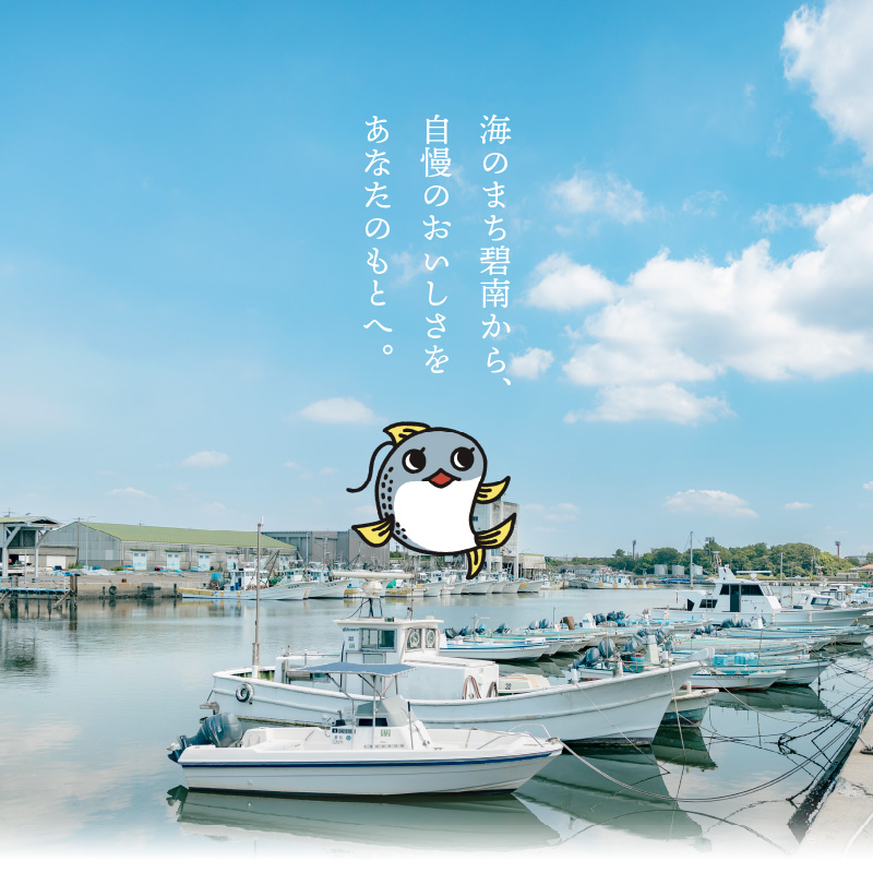 【3ヵ月定期便】金の〆さば「〆さば界の金メダルを目指して」　H021-061