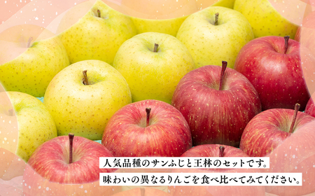 年内 サンふじ×王林約5㎏ 【JA津軽みらい・平川市産・青森りんご・12月】[hi-0001-007]