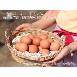 濃厚プリン 益子町 とろたまぷりん 8個 AA018